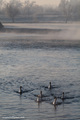 Winter flotila