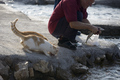 fisherman`s  f&hellip;