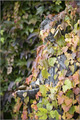 lijepa kao anđ&hellip;