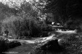 ljetna varijan&hellip;