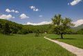 Sutjeska u pro&hellip;