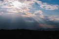 zraci