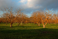 Park in Marousi