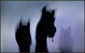 Baskervilski p&hellip;