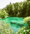 Zeleno, volim &hellip;