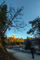 Dvorac Trakosc&hellip;