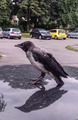 Cuvar parkinga&hellip;