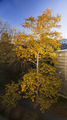 Urbana jesen 2&hellip;