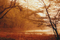 Maksimir kraje&hellip;