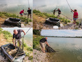 11 kg zive vag&hellip;