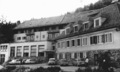 Pohorje, Zelje&hellip;