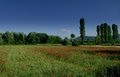 albanska makov&hellip;