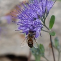 kariopter sa p&hellip;