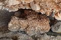 prirodno beton&hellip;