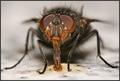 December fly 2&hellip;