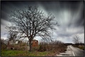 abandoned in e&hellip;