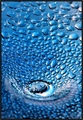 Drops by Stude&hellip;