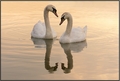 Love is all ar&hellip;