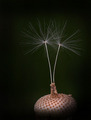 poslednji tang&hellip;