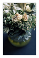 flores muertas&hellip;