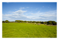 Safari park, N&hellip;