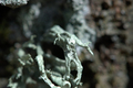 Demon ili nest&hellip;
