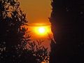 Sunce