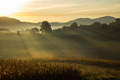 Sunce probija &hellip;
