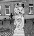 "čedo mam&hellip;