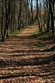 vodoravnouspra&hellip;