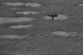 fragment (pogr&hellip;