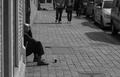 siromah ili li&hellip;