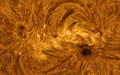 AR 2835 i Elle&hellip;