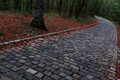 Road to nowhere