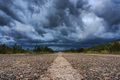On the Road Ag&hellip;