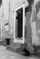 Zicanje na bro&hellip;
