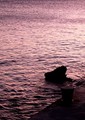 moment of sile&hellip;