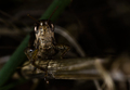 On the dark si&hellip;