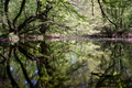 Refleksije na &hellip;