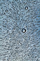 Ice-art 2