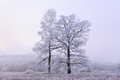 Duo prekriven &hellip;