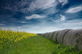 Repica fields &hellip;