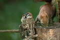 Gužva na hrani&hellip;