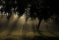 Povijest susre&hellip;