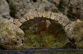 Detalj Kudinog&hellip;