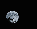 Full moon risi&hellip;