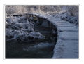 Bridge over tr&hellip;