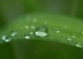 Raindrops keep&hellip;