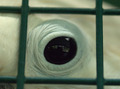 A prisoners ey&hellip;