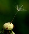 There can be o&hellip;